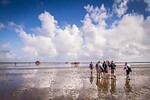 NORD- UND OSTFRIESLAND RUNDREISE