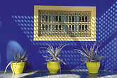 Majorelle (C) Elisabeth Kneissl-Neumayer