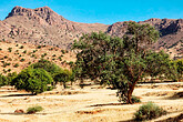 Tafraoute, Ammeln-Tal (C) Anton Eder