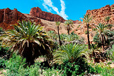 Tafraoute, Mansour-Schlucht (C) Anton Eder