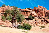 Tafraoute, Granitfelsen (C) Anton Eder