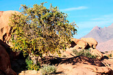 Tafraoute, Granitfelsen (C) Anton Eder