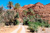 Tafraoute, Timguelcht-Schlucht (C) Anton Eder