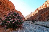 Dades Tal, Seitencanyon (C) Anton Eder