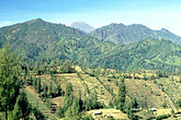 Tengger, Landschaft mit Feldern (C) Anton Eder