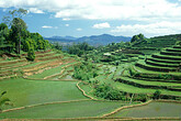 Toraja, Landschaft (C) Anton Eder