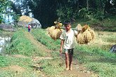 Kind beim Reis tragen (C) Anton Eder