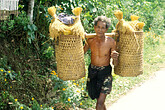 Bauer beim Reis tragen (C) Anton Eder