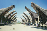 Toraja, Haeuser und Reisspeicher (C) Anton Eder