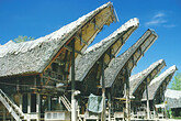 Toraja, Haeuser mit Bueffelhoerner (C) Anton Eder