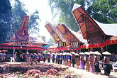 Toraja, Dorfplatz mit Fest (C) Anton Eder