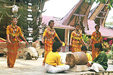 Toraja, Frauen beim Tanz (C) Anton Eder