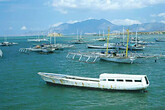 Labuhanbajo Hafen mit Schiffen (C) Anton Eder