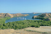 Landschaft auf der Insel Rinca (C) Anton Eder