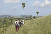 Landschaft auf Rinca (C) Anton Eder