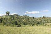 Landschaft auf Rinca (C) Anton Eder