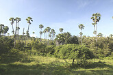 Landschaft auf Rinca (C) Anton Eder