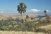 Landschaft auf Rinca (C) Anton Eder