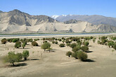 Landschaft, Samye - Tsetang (C) Anton Eder