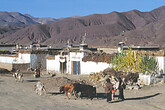 Neu-Tingri, Rongpuk Kloster, Haeuser entlang der Strecke (C) Anton Eder