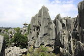 Steinwald bei Kunming (C) Anton Eder