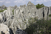 Steinwald bei Kunming (C) Anton Eder