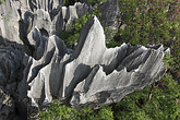 Steinwald bei Kunming (C) Anton Eder