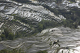 Yuanyang, Reisterrassenfelder (C) Anton Eder