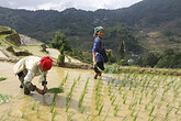 Yuanyang, Reisterrassenfelder (C) Anton Eder