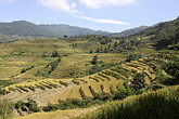 Yuanyang, Reisterrassenfelder (C) Anton Eder