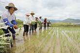 Fahrt nach Shaxi (C) Anton Eder