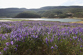 Landschaft vor Lijiang (C) Anton Eder