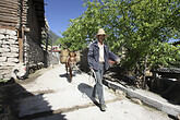 Dorf der Naxi bei Baishuitai (C) Anton Eder