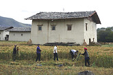 Landwirtschaft in Zhongdian (C) Anton Eder