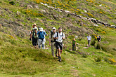 Wanderweg im Killarney NP (C) Dado Ibrakovic 