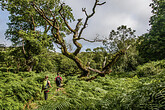 Killarney NP (C) Dado Ibrakovic