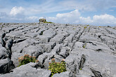 Burren (C) Elisabeth Kneissl-Neumayer