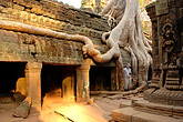 Angkor © Elisabeth Kneissl-Neumayer