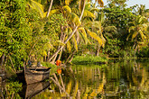 Backwaters (C) 2014 Frank Cornfield - stock.adobe.com