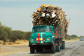 Holztransport aus dem Sahel nach N Dschamena (C) Anton Eder