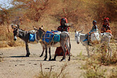 Wassertransport in die Doerfer (C) Anton Eder