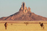 Kamel vor der Kulisse des Ennedi-Massivs (C) Anton Eder