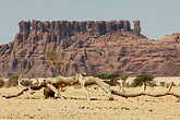 Ennedi-Massiv (C) Anton Eder