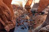 Kamele am Guelta im Waddi Archei (C) Anton Eder