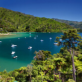Picton, Südinsel (C) Foto Julius