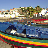 Camara de Lobos (C) Elisabeth Kneissl-Neumayer