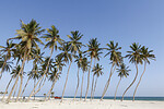 Strand von Salalah (C) Anton Eder