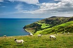 GROSSE IRLAND RUNDREISE MIT NORDIRLAND
