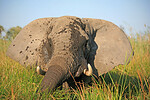 NAMIBIA: GRANDIOSE NATURWUNDERWELT