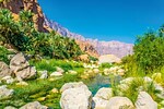 OMAN RUNDREISE - ABU DHABI